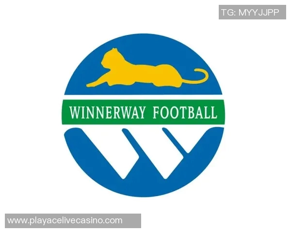 广东宏远足球俱乐部崛起之路探索与发展新篇章