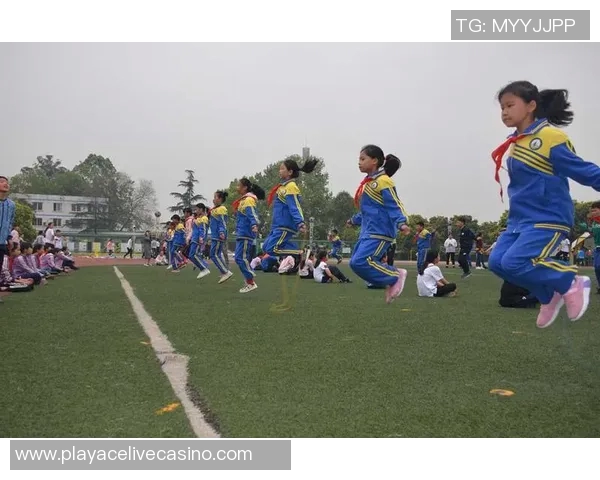 在绿茵场上舞动的诗篇与心灵的激情交融之美